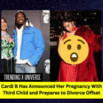 Cardi B files for divorce and announces pregnancy.