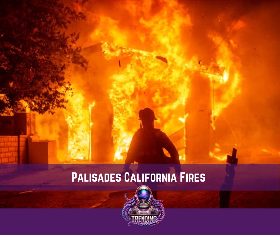 Los Angeles Fires, Palisades Fires